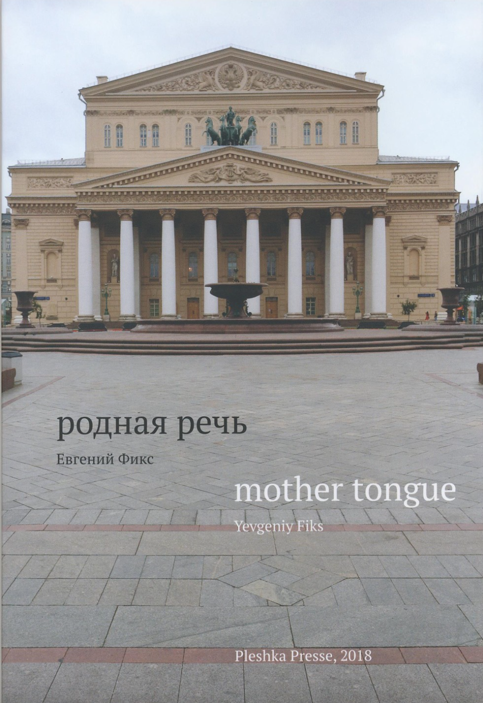 mother tongue (Paperback)