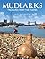 MUDLARKS: Treasures from th...
