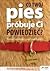 Co twój pies próbuje ci powiedzieć?