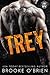 Trey (A Rebels Havoc, #3)