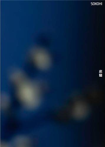 Moe Suzuki Sokohi /franCais/anglais/japonais (Hardcover)