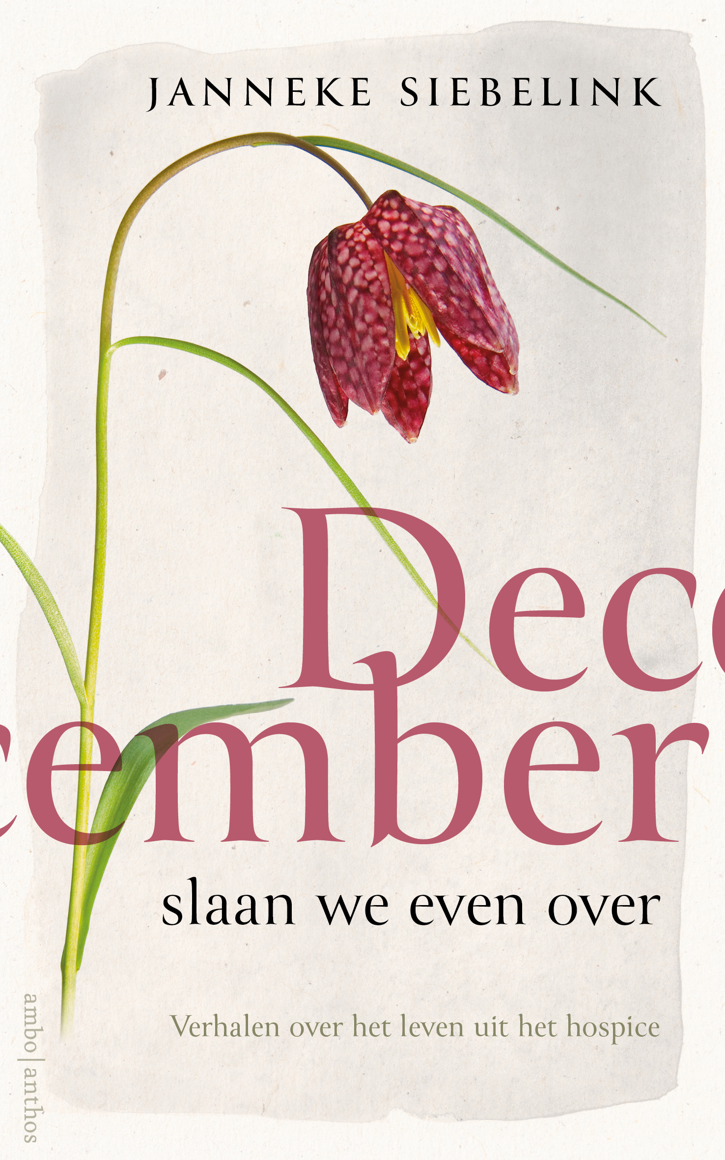 December slaan we even over - Verhalen over het leven uit het hospice