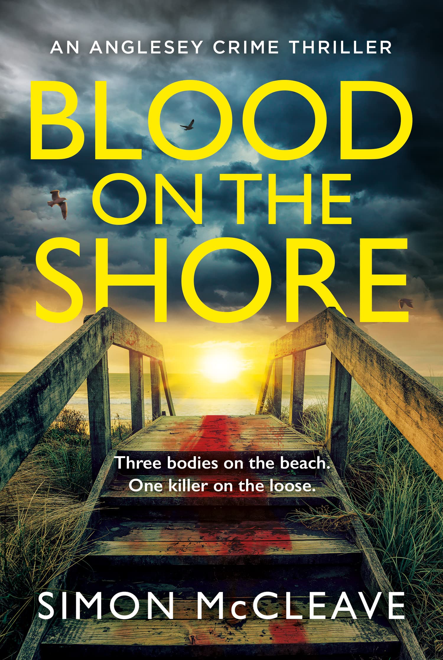 Blood on the Shore (Anglesey #3)