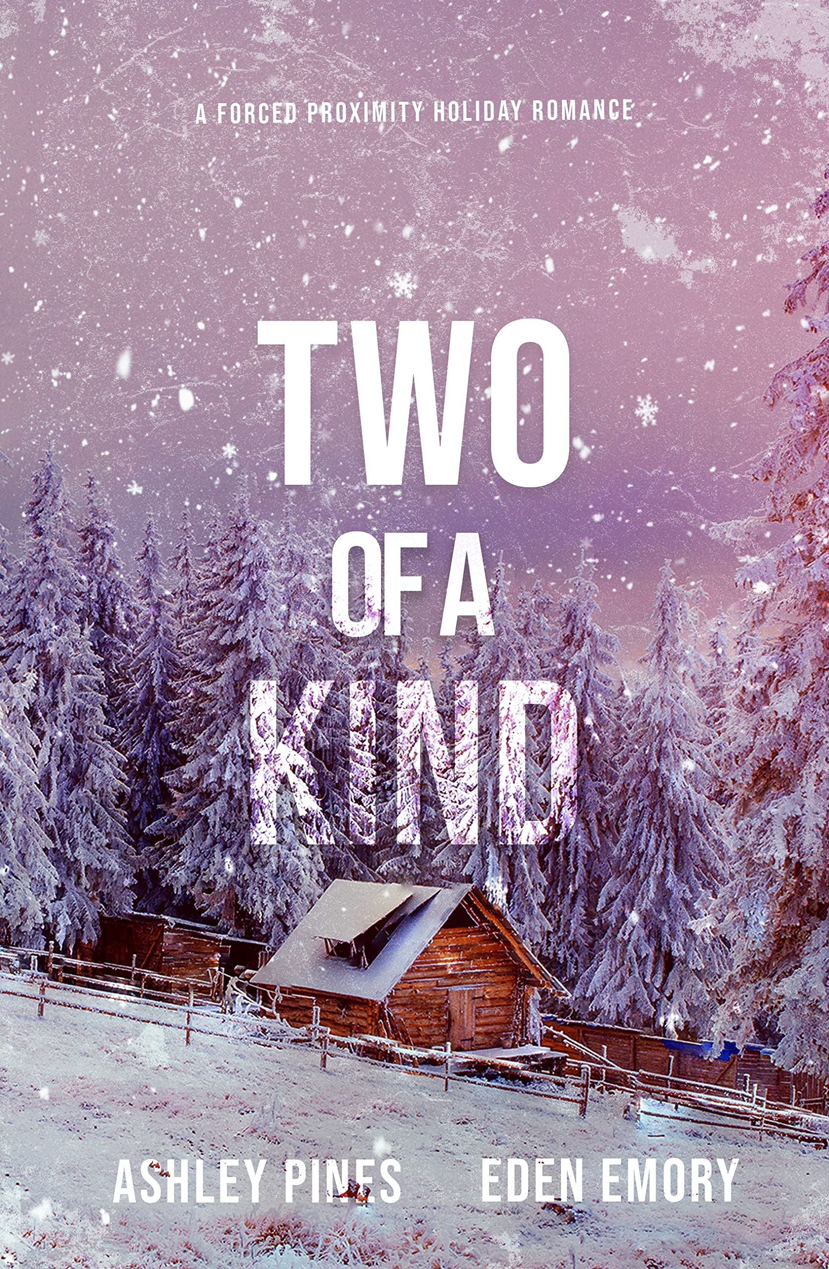 Two of a Kind (Kindle Edition)