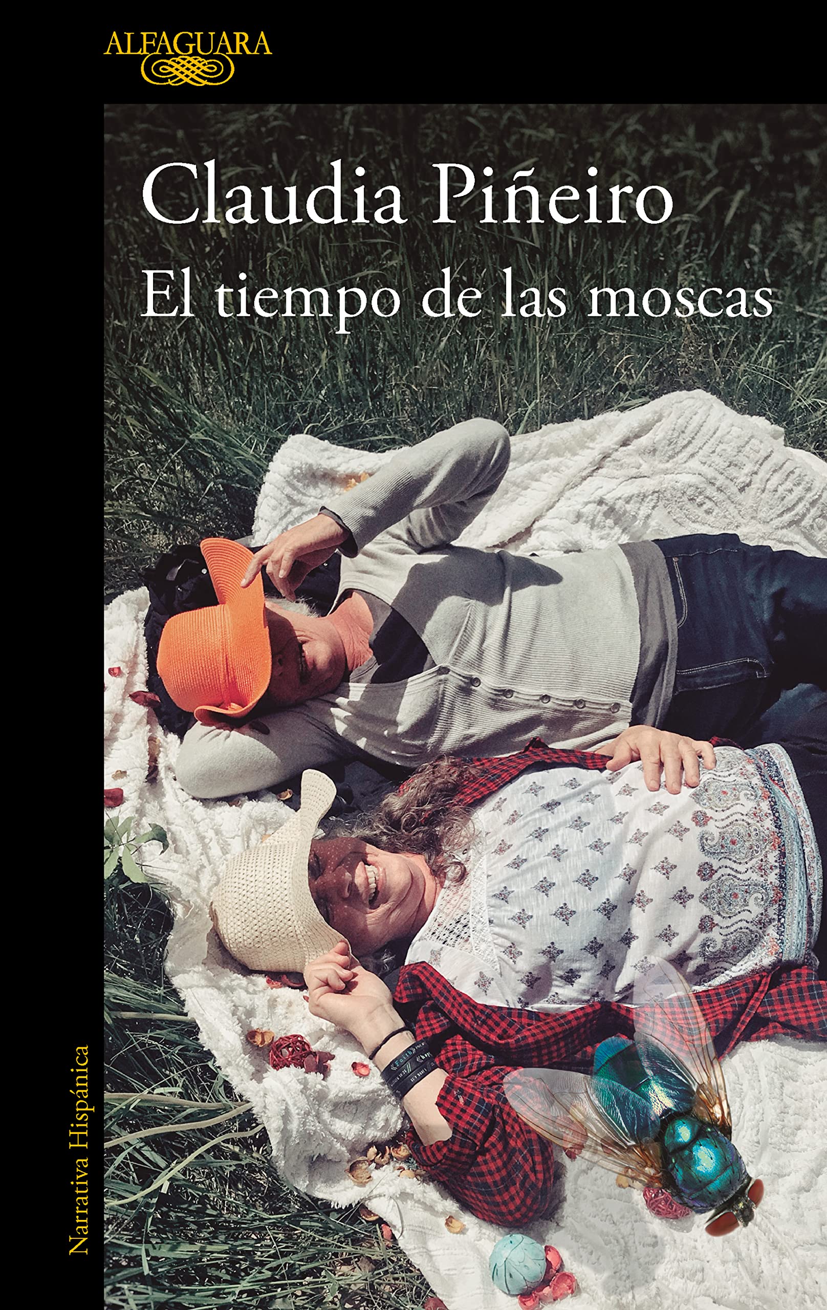 Portada de El tiempo de las moscas, de Claudia Piñeiro