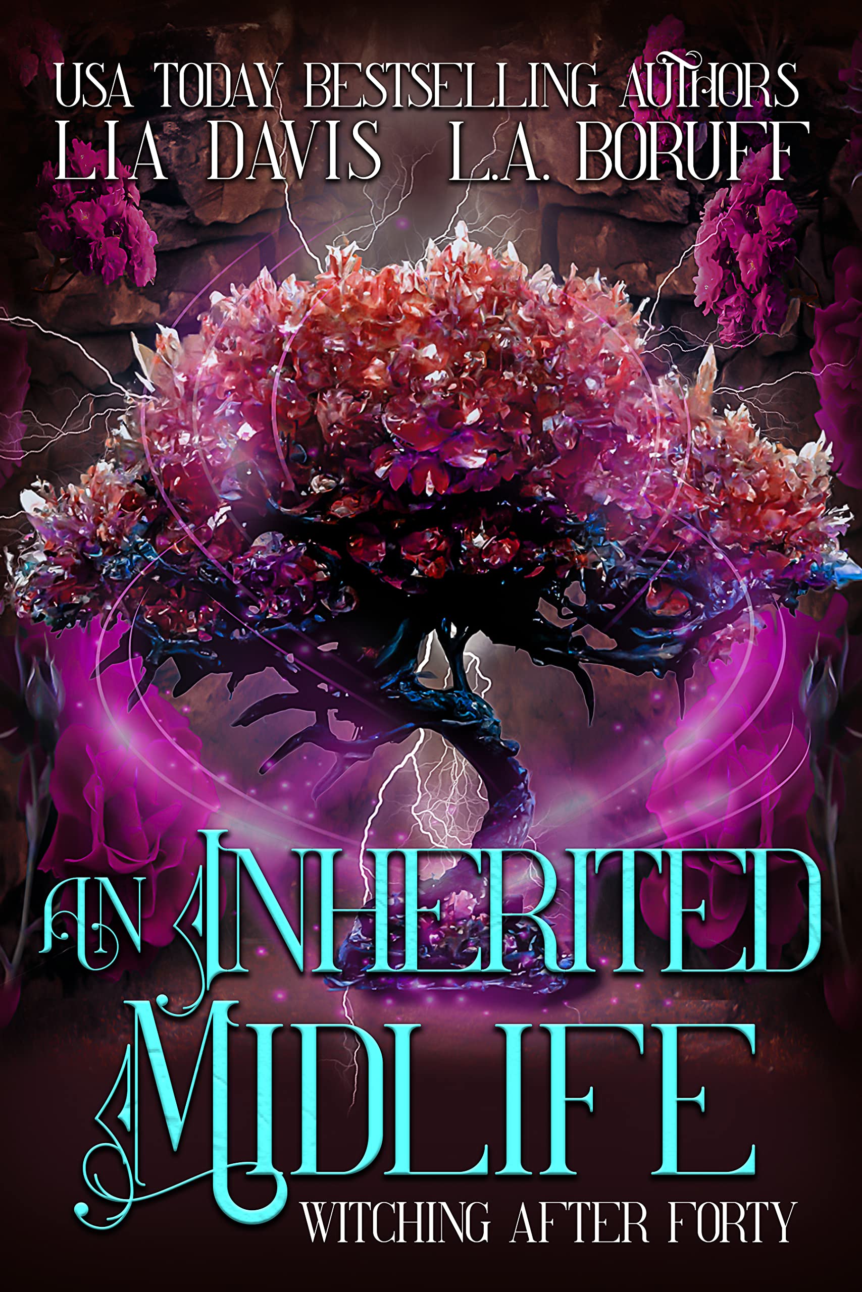 An Inherited Midlife (Witching After Forty, #10)