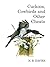 Cuckoos, Cowbirds and Other Cheats by Nicholas B. Davies