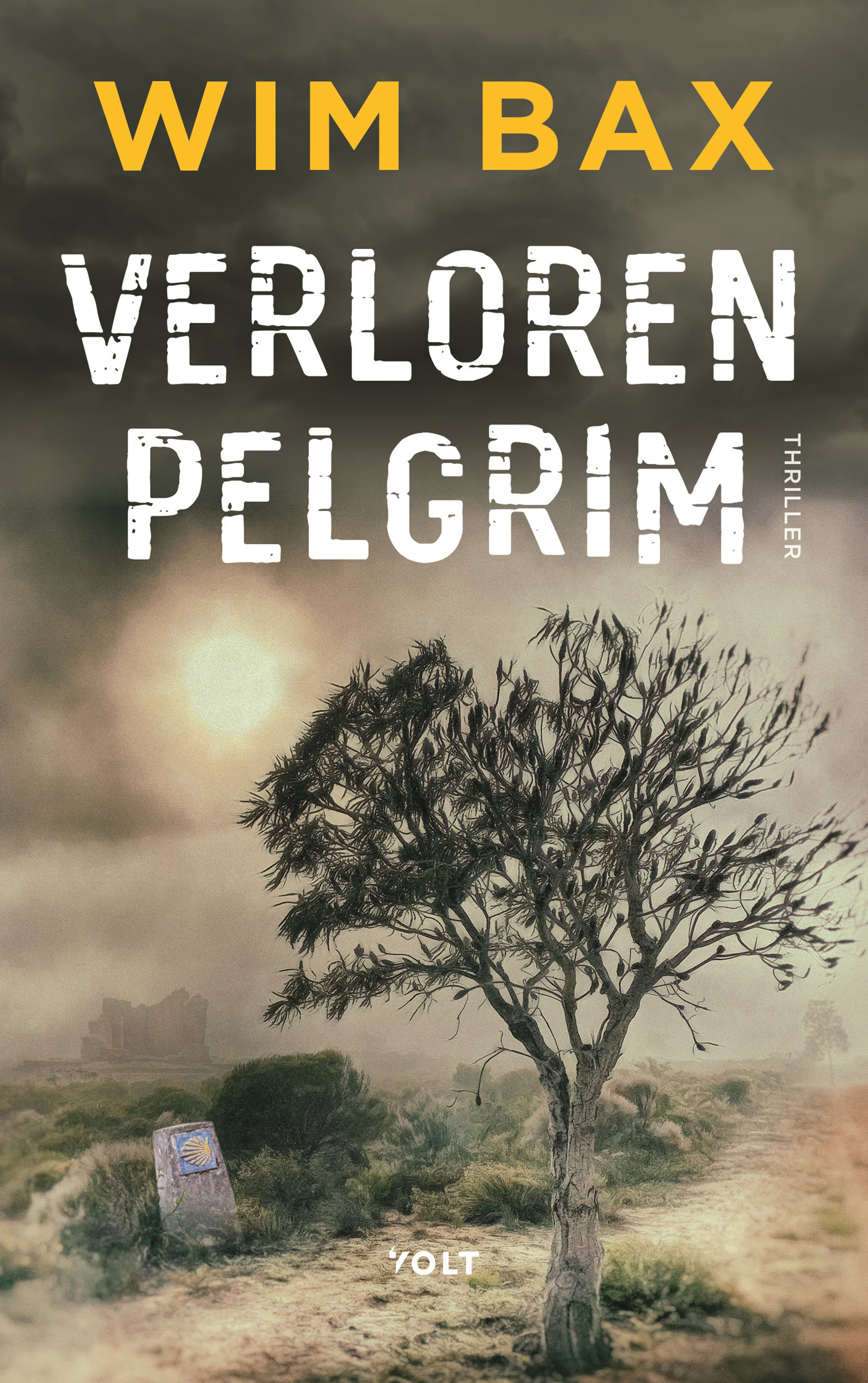 Verloren pelgrim (Paperback)