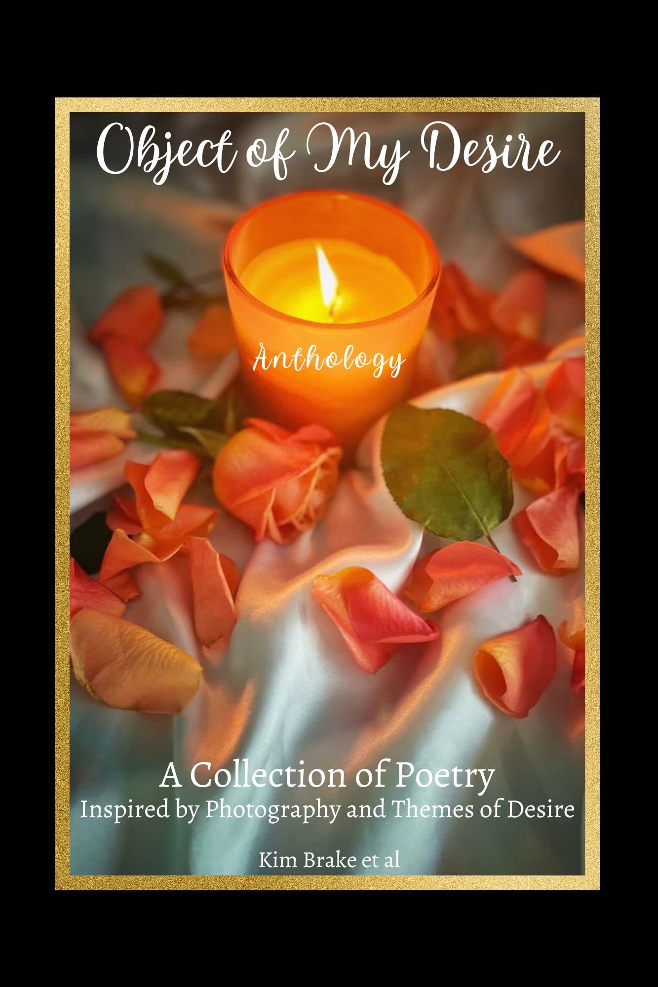 Object of My Desire: Anthology (Kindle Edition)