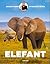 Elefant