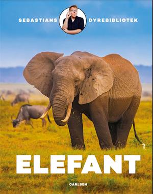 Elefant (Hardcover)
