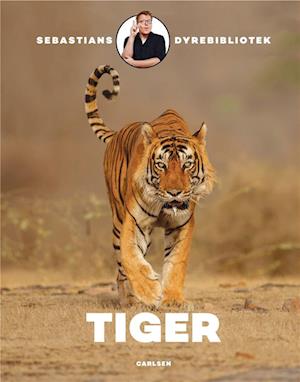 Tiger (Hardcover)