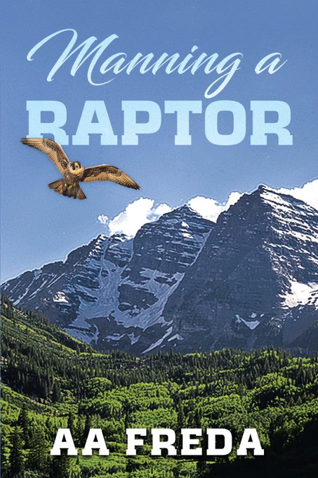 Manning a Raptor