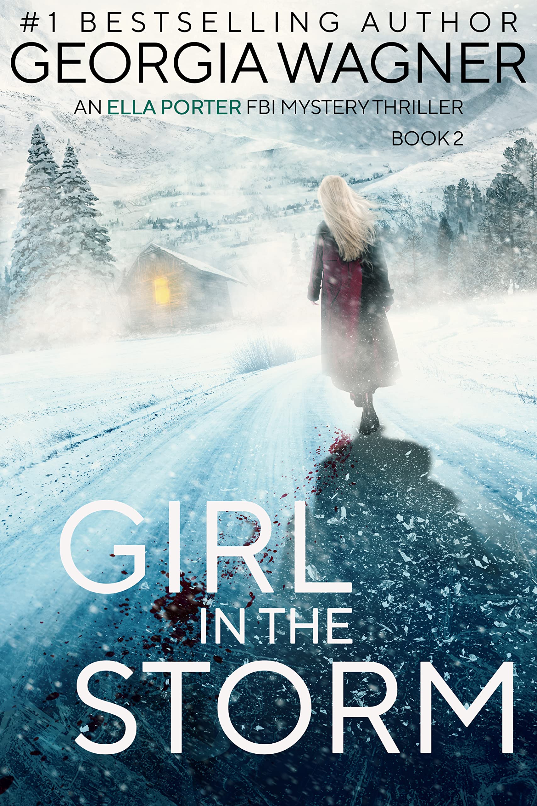 Girl in the Storm (Ella Porter FBI #2)