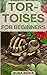 Tortoises for Beginners : A...