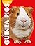 Curious about Guinea Pigs