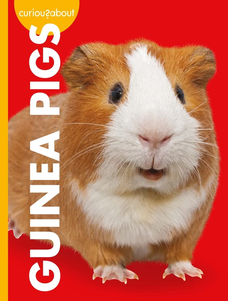 Curious about Guinea Pigs (Curious about Pets)