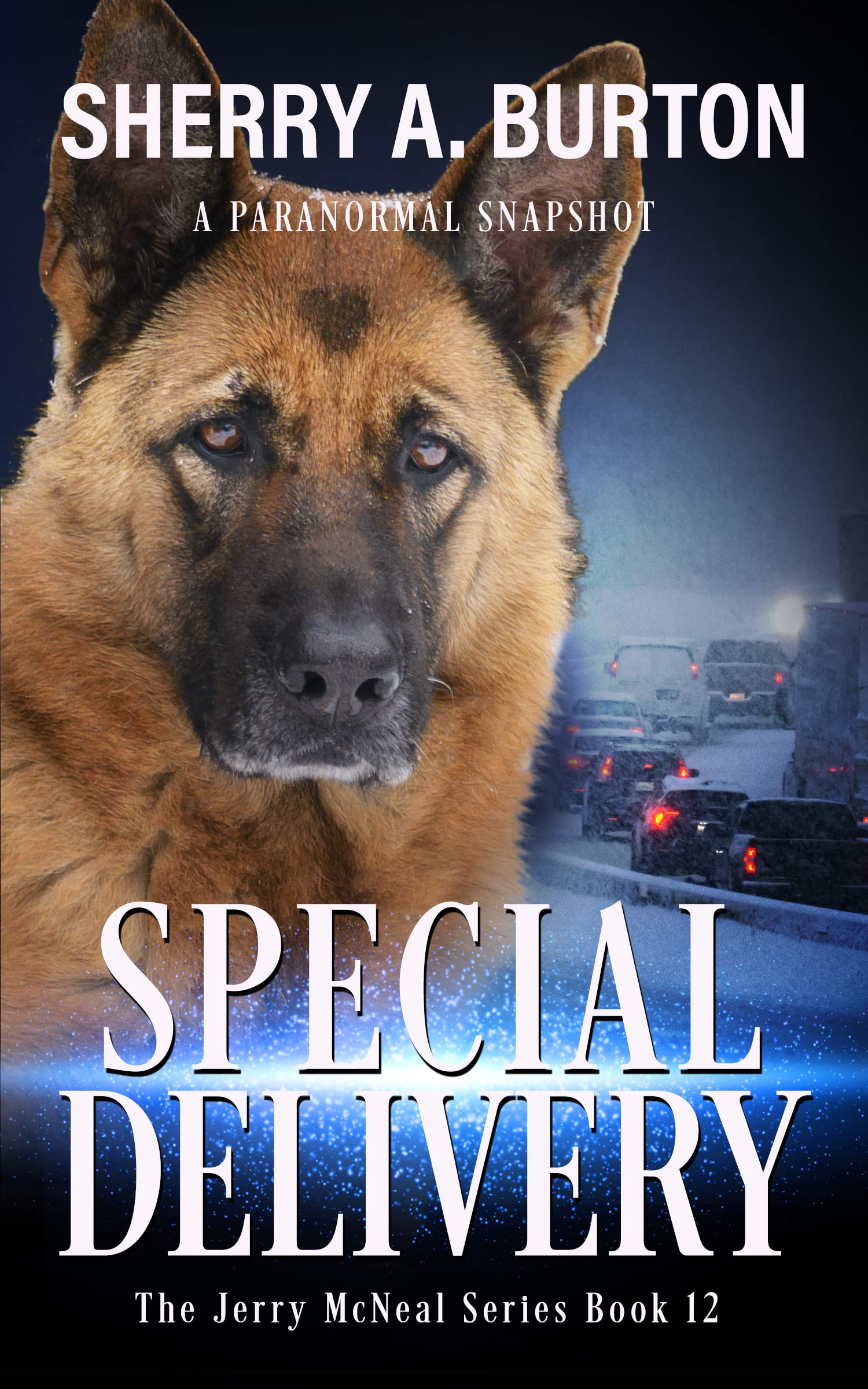 Special Delivery (Jerry McNeal #12)