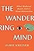 The Wandering Mind: What Me...