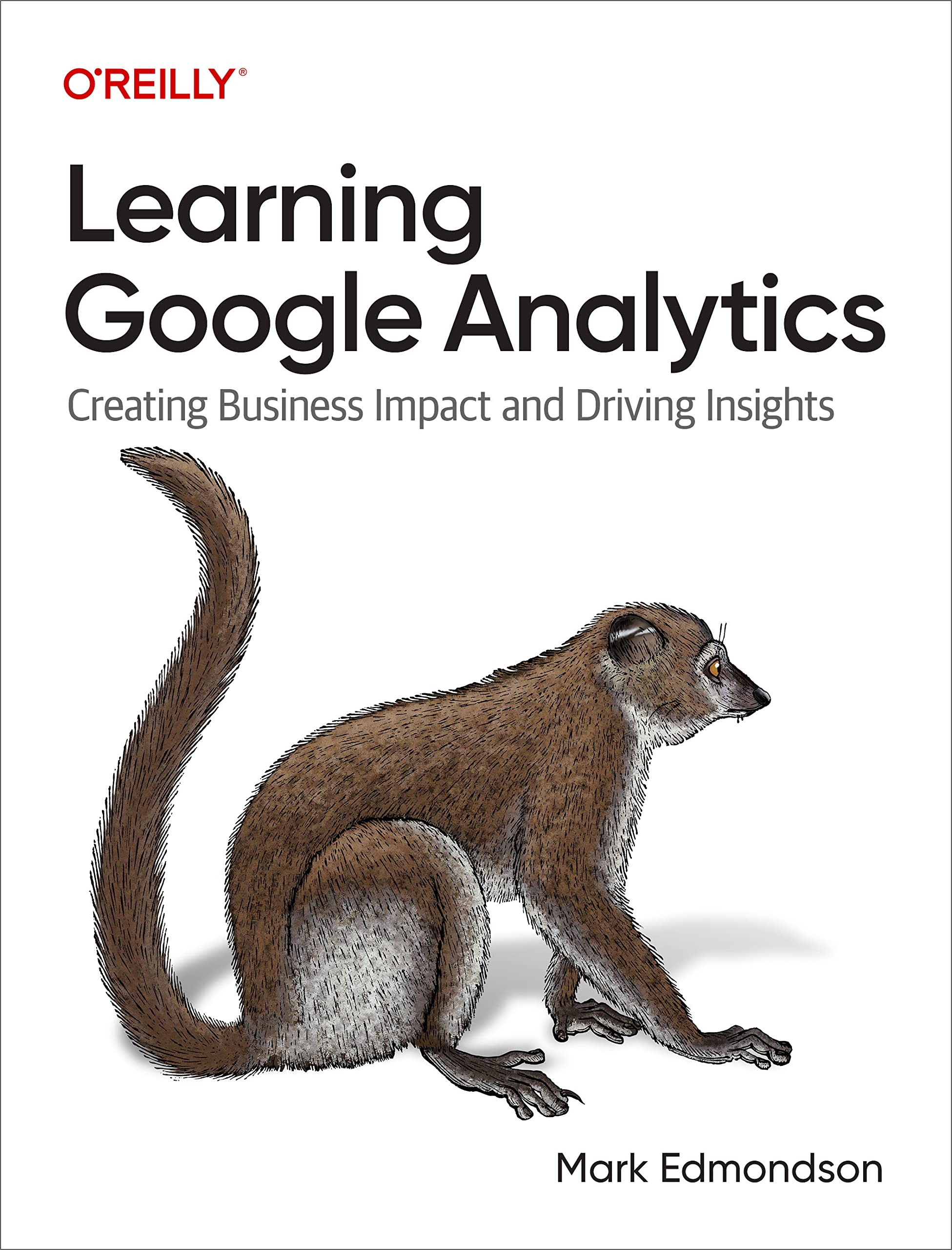 Learning Google Analytics: Creating Business Impact and Driving Insights (Kindle Edition)