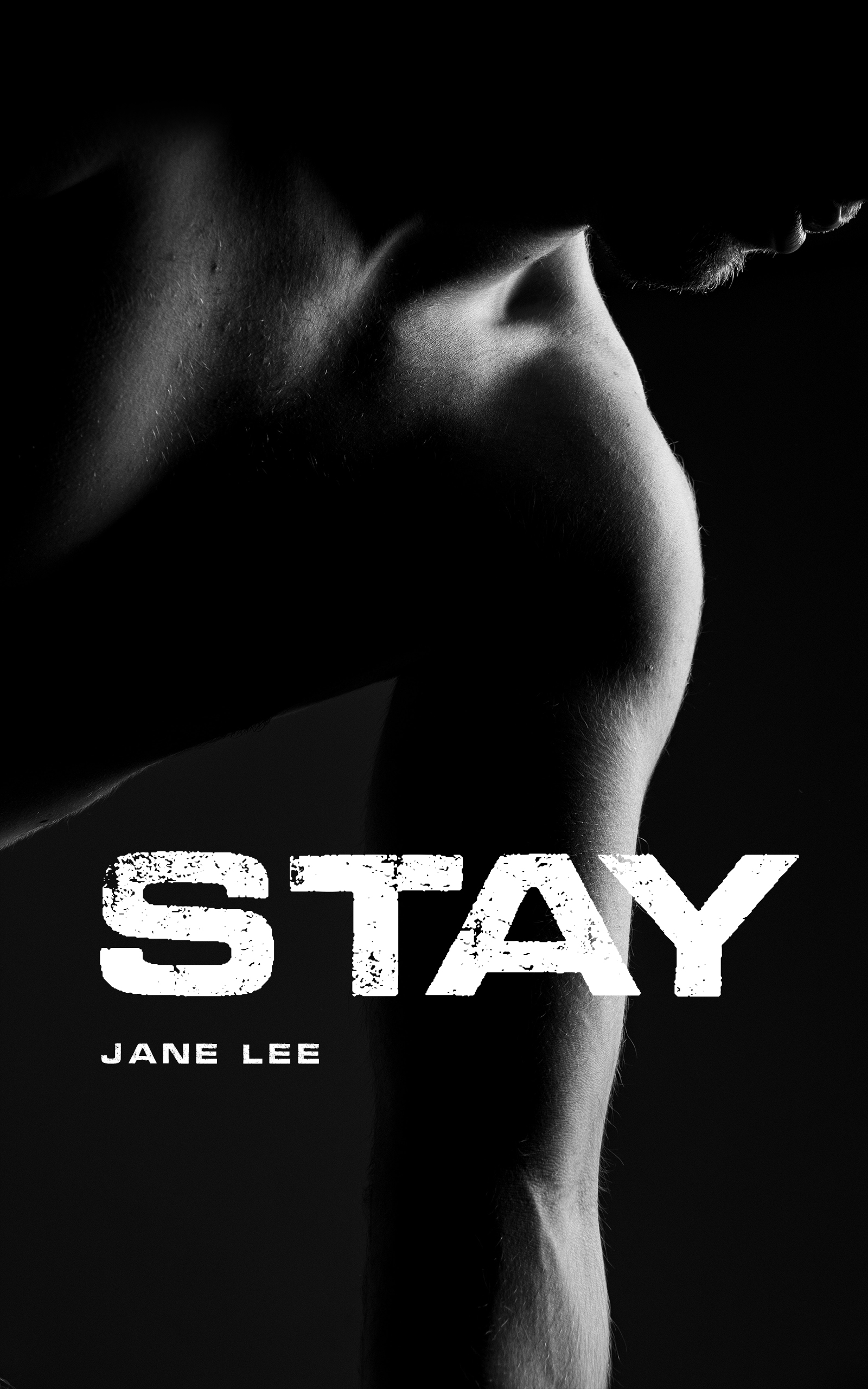 Stay (Kindle Edition)