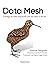 Data Mesh (Spanish Edition)