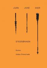 Stedsønnen (Rayos globulares, #1)