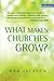 What is Making Churches Grow? (Explorations)