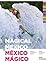 Magical Mexico: People, Tradition, Color / México Mágico: Gente, Tradición, Color