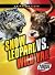 Snow Leopard VS wild yak