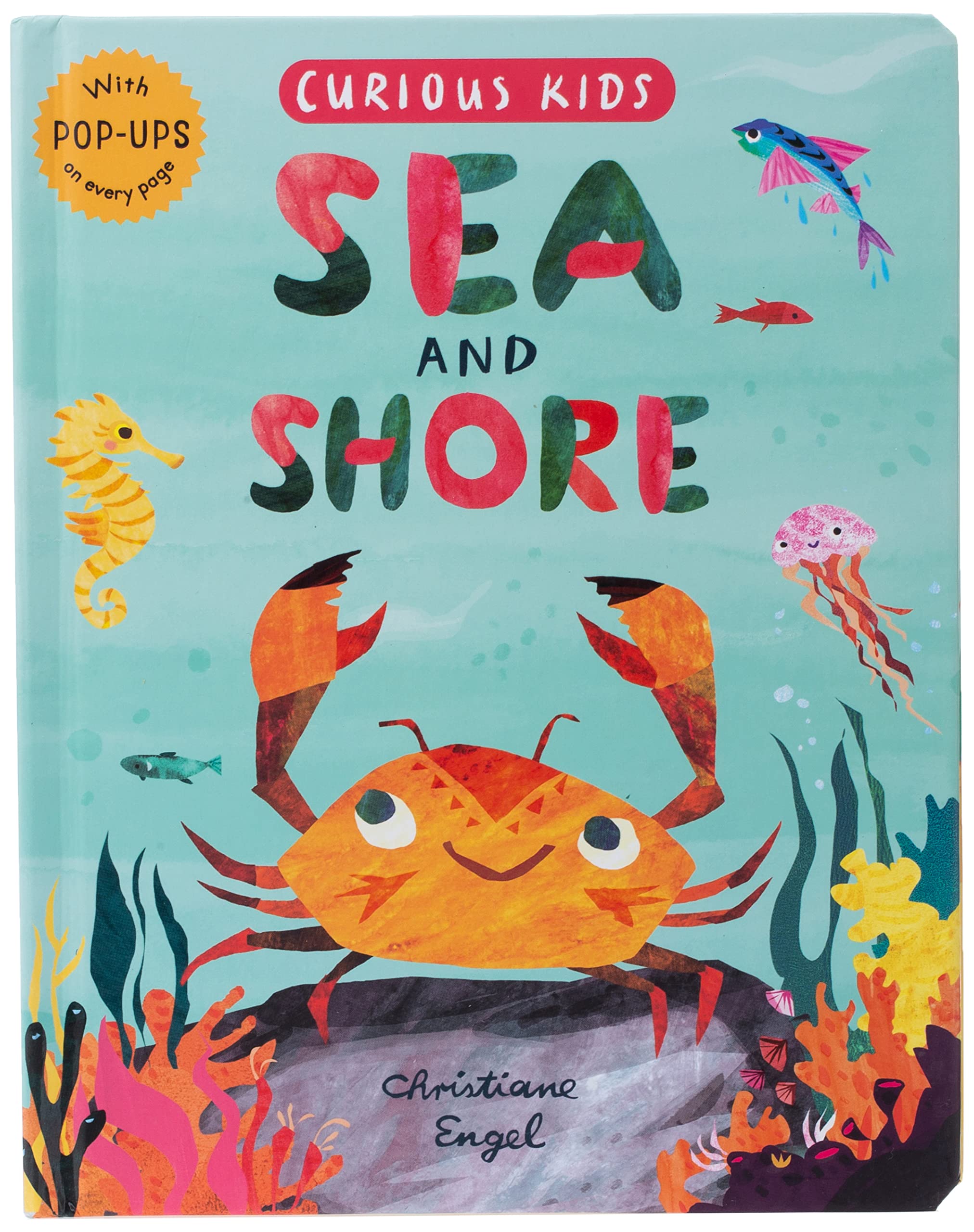 Curious Kids: Sea and Shore (Hardcover)
