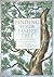 Finding Your Family Tree: A...