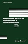 Computational Methods for Representations of Groups and Algebras (Progress in Mathematics)