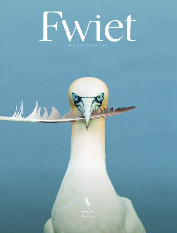 Fwiet #4: Zee