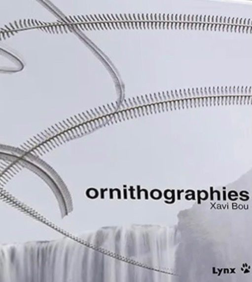 Ornithographies (Hardcover)