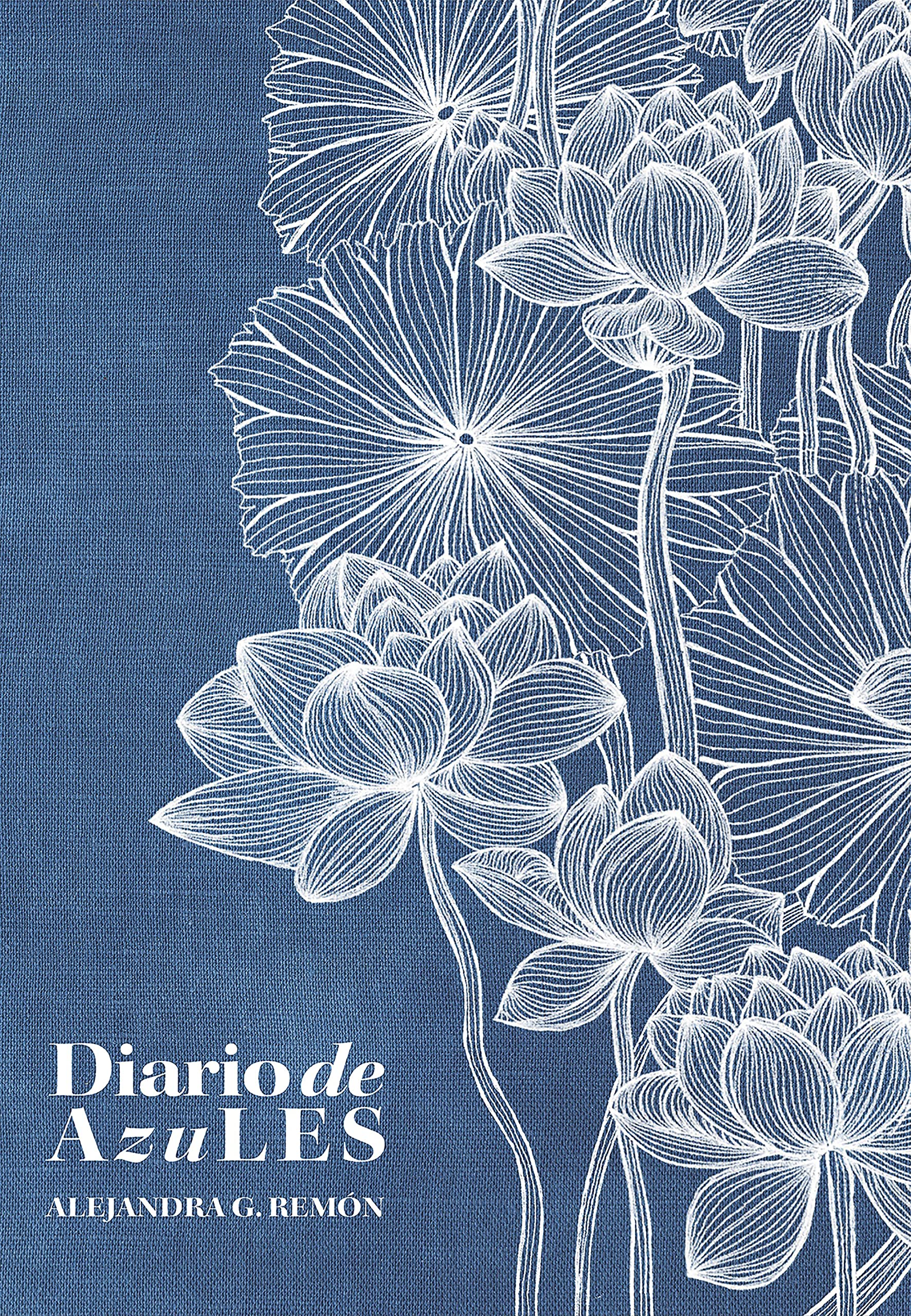 Diario de AzuLES (Hardcover)