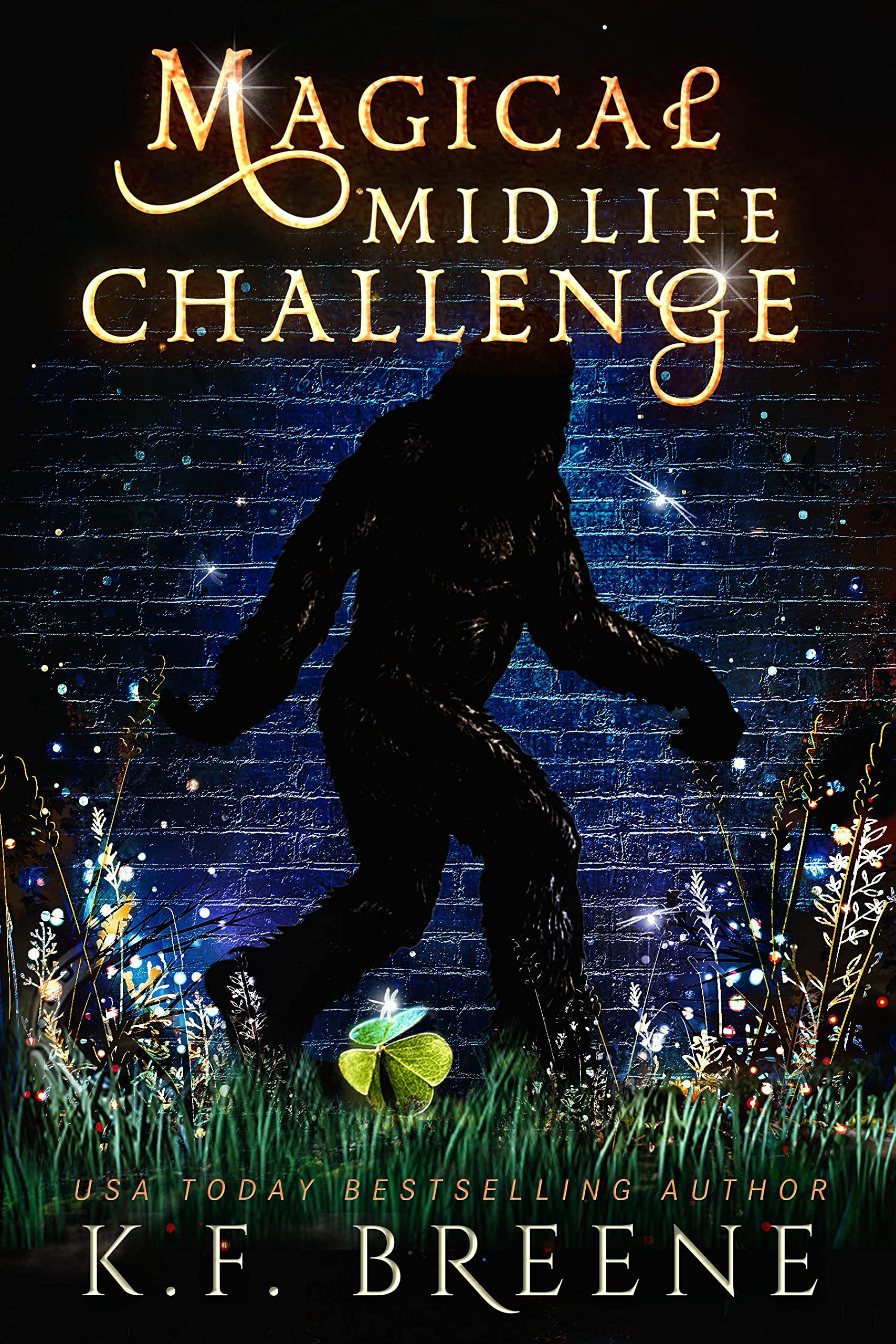Magical Midlife Challenge (Leveling Up, #6)
