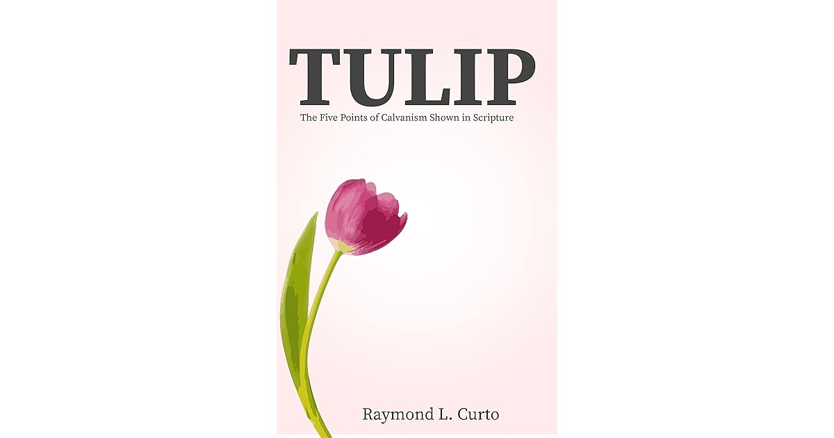 TULIP The Five Points of Calvinism Shown in Scripture by Raymond L. Curto