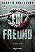 Ein Freund: Thriller (German Edition)