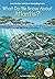 What Do We Know About Atlantis? (What Do We Know About?)