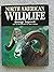 North American Wildlife