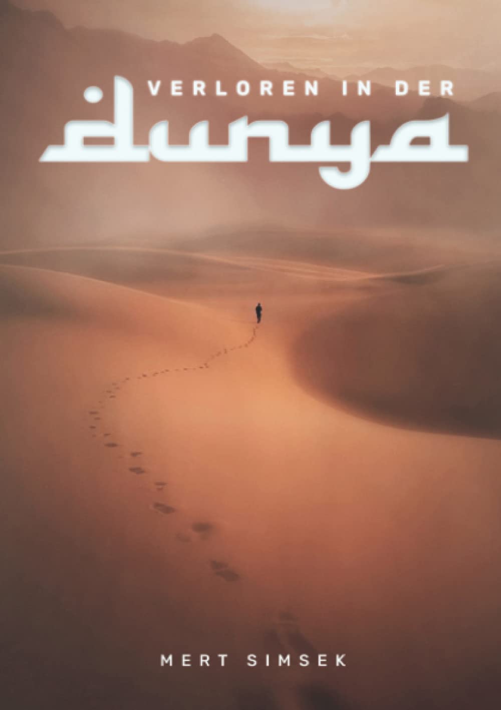 Verloren in der Dunya (Paperback)