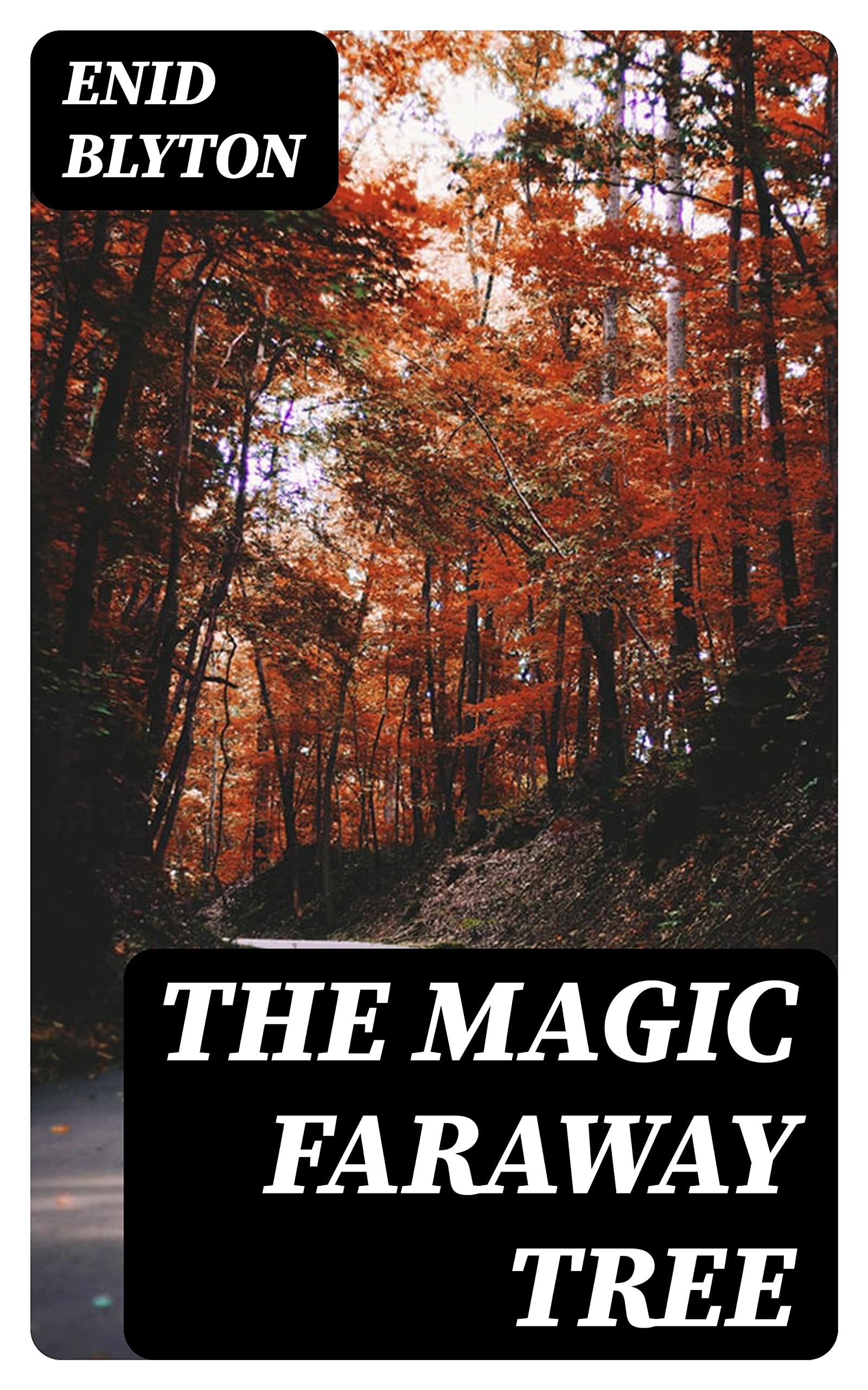 The Magic Faraway Tree: Enriched edition.