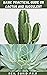 BASIC PRACTICAL GUIDE ON CACTUS AND SUCCULENT by Neil David