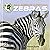 All About African Zebras (Animals Around the World)