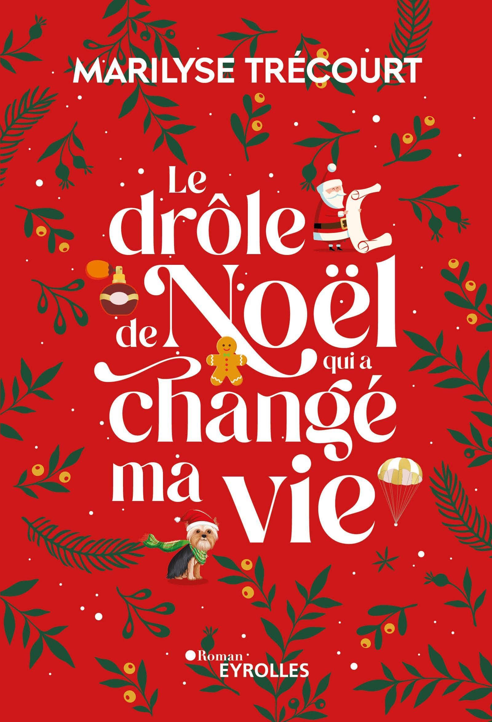 Le drôle de Noël qui a changé ma vie (Paperback)