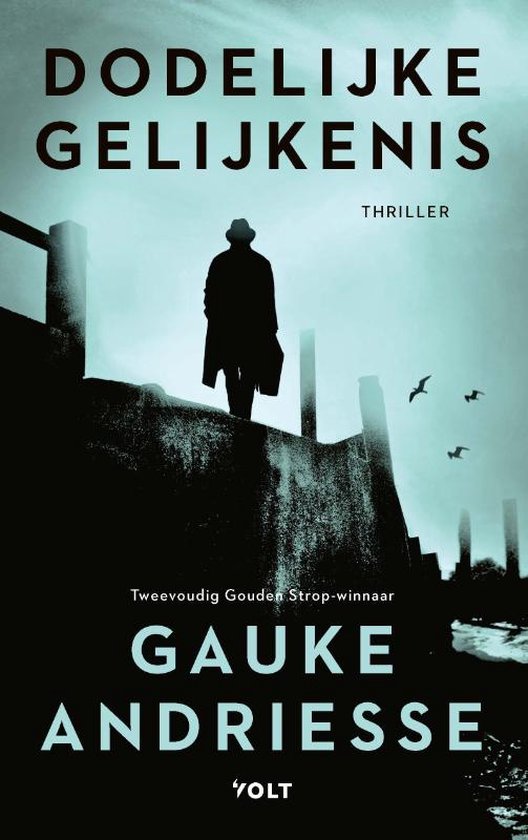 Dodelijke gelijkenis (Paperback)