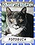 Schwarze Katzen Fotobuch: F...