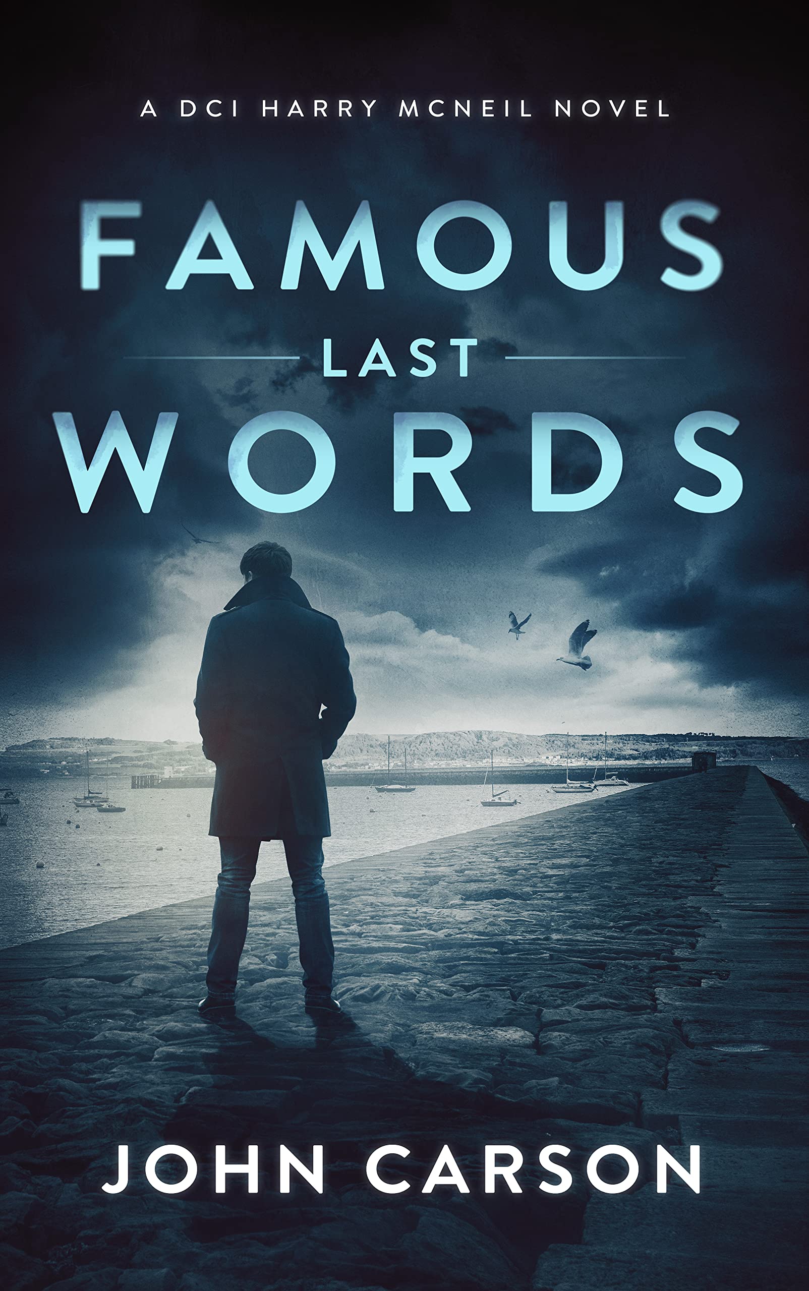 Famous Last Words (DCI Harry McNeil, #16)