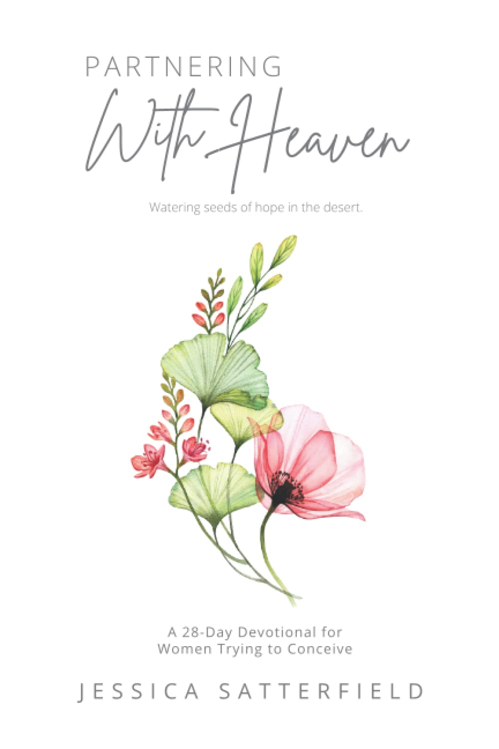 Partnering With Heaven: Watering seeds of hope in the desert (Paperback)